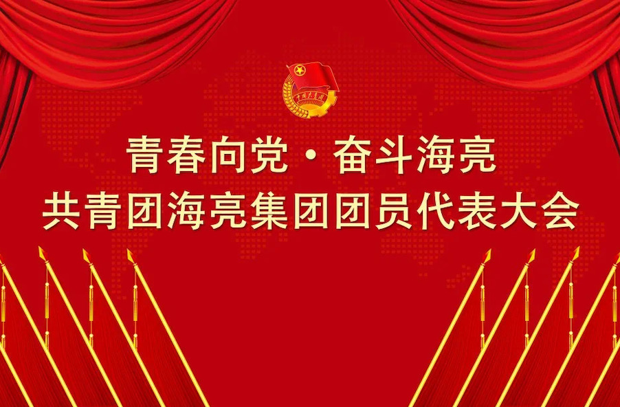 青春向党 · 奋斗银河集团9873com丨共青团银河集团9873com集团有限公司团员代表大会召开